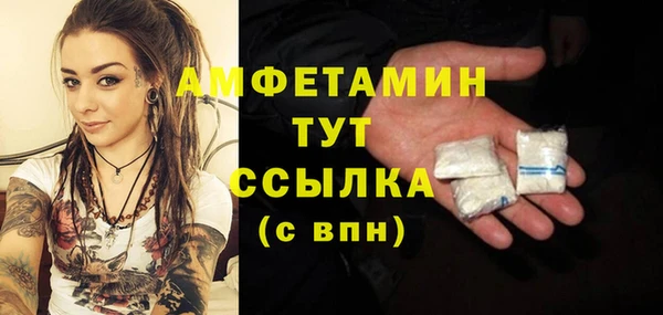прущий лед Бородино
