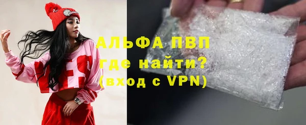 прущий лед Бородино