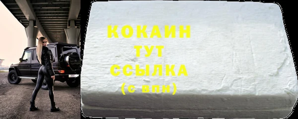 прущий лед Бородино
