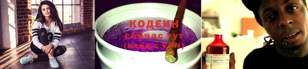 прущий лед Бородино