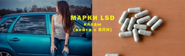 прущий лед Бородино