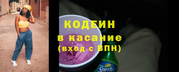 прущий лед Бородино