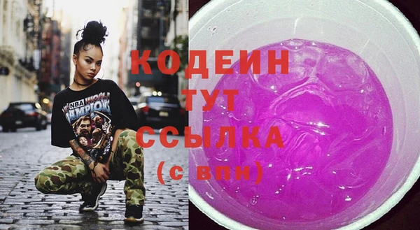 прущий лед Бородино